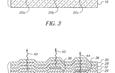 Leaf Anatomy Coloring Worksheet Key Printable Worksheets And