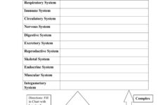Levels Of Biological Organization Worksheet Soccerphysicsonline Db