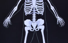 Life Size Printable Skeleton For Kids Adventure In A Box