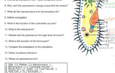Lots Of Things For Apologia Bio Biology Experiments Apologia Biology