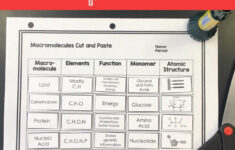 Macromolecules Review Worksheet For Anatomy And Physiology Answers