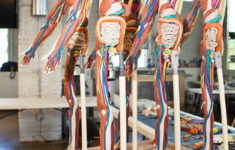 MANIKEN Student 2 ANATOMY IN CLAY Learning System