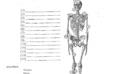 McKenna Mrs Home Page