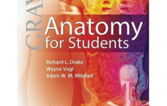 Medical Books Library Grays Anatomy For Students