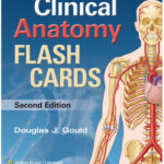 Moore S Clinical Anatomy Flash Cards PDF Free Download Direct Link