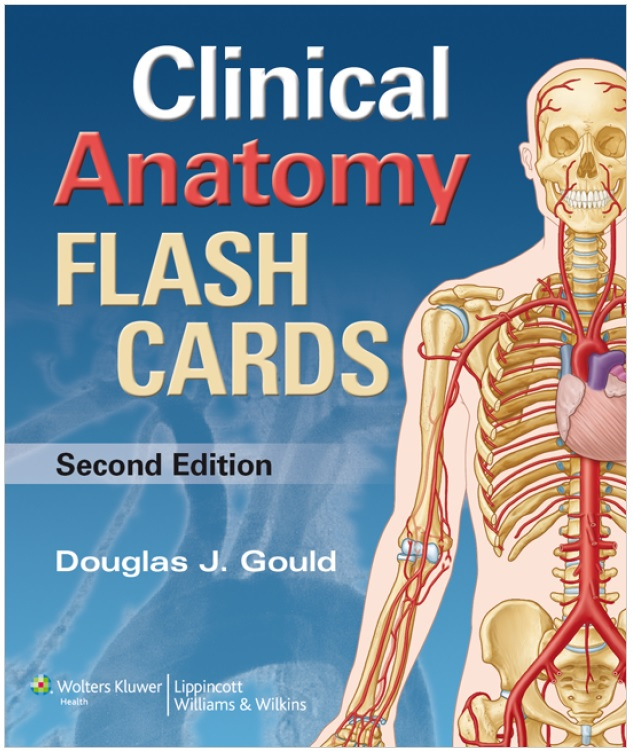 Moore s Clinical Anatomy Flash Cards PDF Free Download Direct Link 