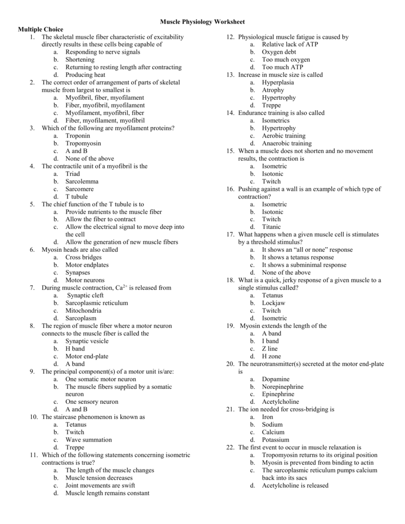 Muscle Physiology Worksheet Roden s Anatomy Physiology