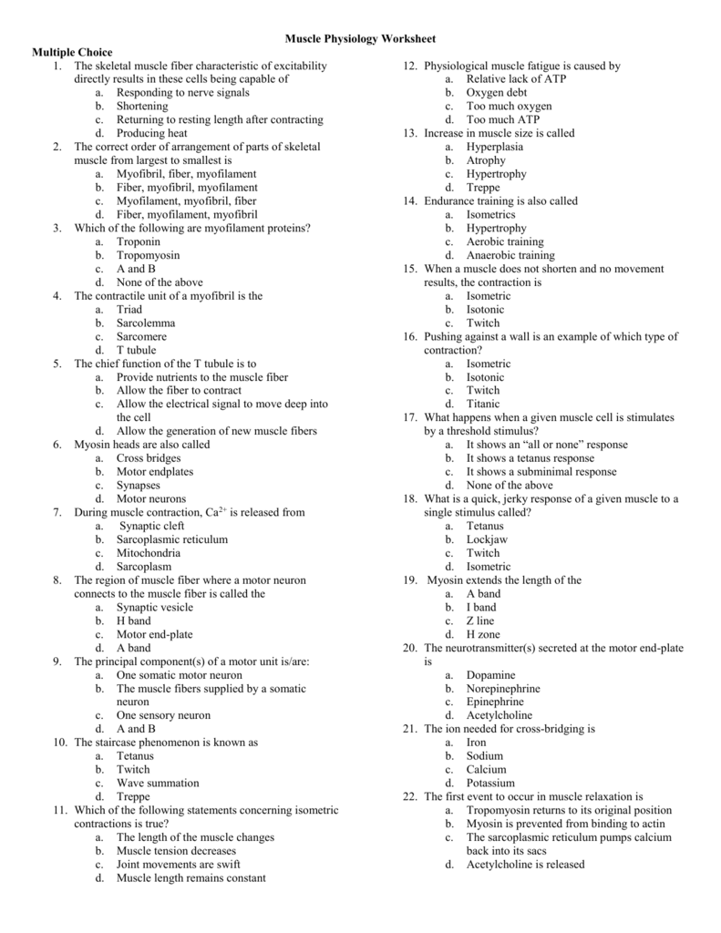 Muscle Anatomy And Physiology Worksheets Anatomy Worksheets