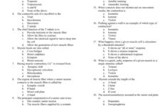 Muscles Of The Body Worksheet Answers Human Anatomy