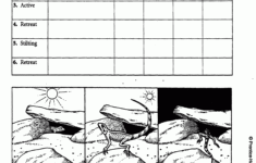 Muscular System Worksheet Answer Key Designtapeter