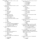 Muscular System Worksheets Muscle Anatomy Worksheet Muscular System