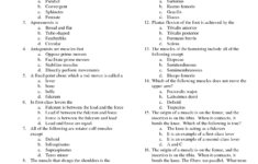 Muscular System Worksheets Muscle Anatomy Worksheet Muscular System
