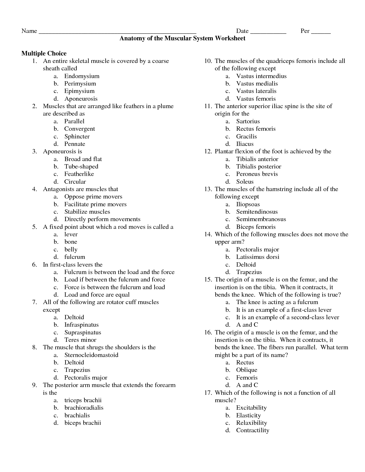 Muscular System Worksheets Muscle Anatomy Worksheet Muscular System 