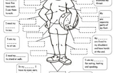 My Body 2 Tasks Human Body Worksheets Body Systems Middle School