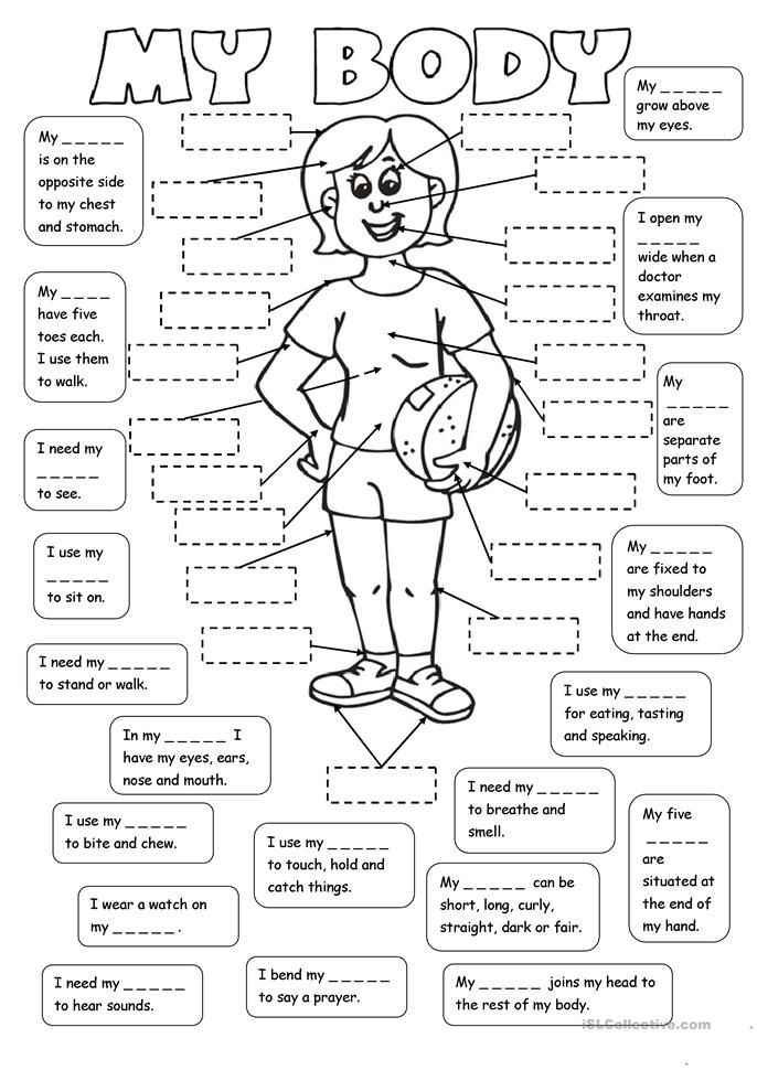 My Body 2 Tasks Human Body Worksheets Body Systems Middle School 