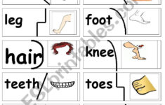 My Body Puzzle ESL Worksheet By Primpi