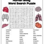 Name Human Body Word Search Puzzl Human