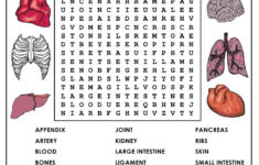 Name Human Body Word Search Puzzl Human