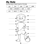 Name Parts Of The Body First Grade Ingles Para Preescolar