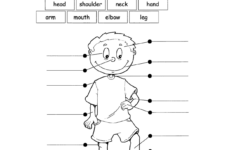 Name Parts Of The Body First Grade Ingles Para Preescolar