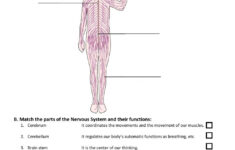 Nervous System Online Activity