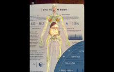 New Update To DAQRI s Anatomy 4D App The Human Body YouTube