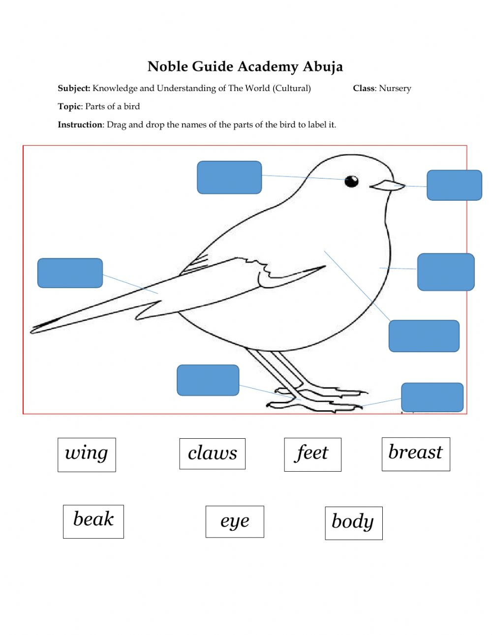 Parts Of A Bird Interactive Worksheet