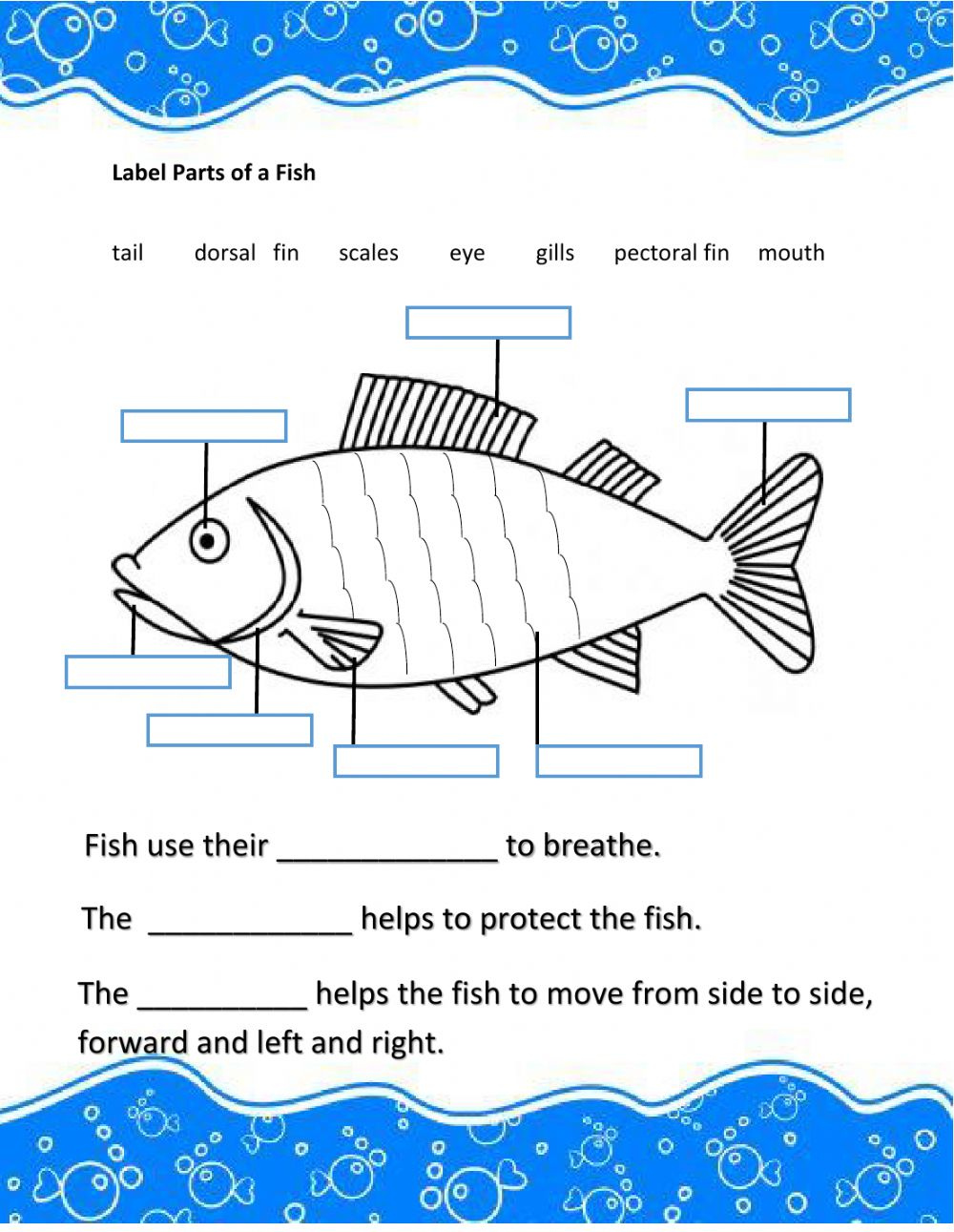 Parts Of A Fish Exercise