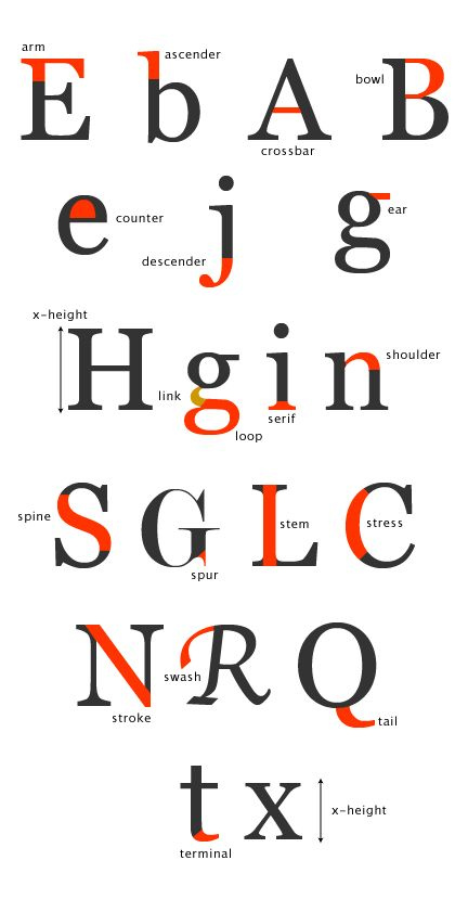 Parts Of A Letter Or Character Google Search Typographic Logo 