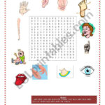 Parts Of The Body Puzzle ESL Worksheet By Daysealvesbarbosa