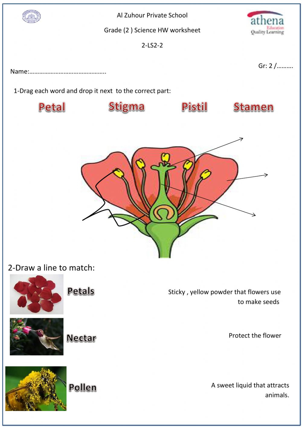 Parts Of The Flower Online Activity