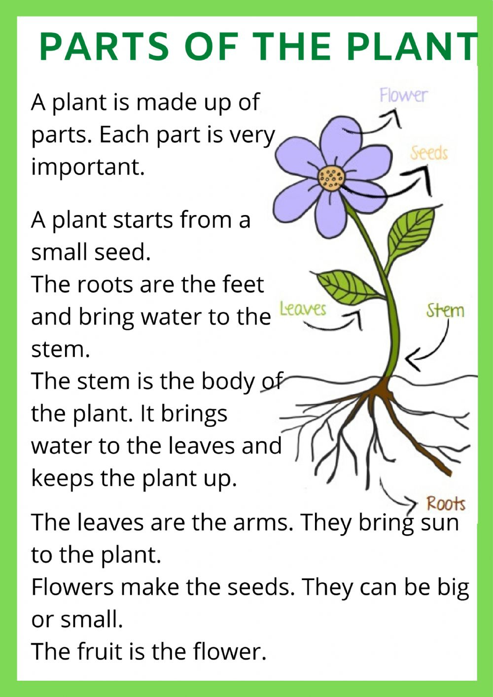 Parts Of The Plant Interactive Worksheet For 1ST GRADE