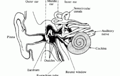 Pin Auf Five In A Row Ideas Vol 2