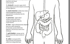 Pin By Anca On Biology Life Science Middle School Digestive System
