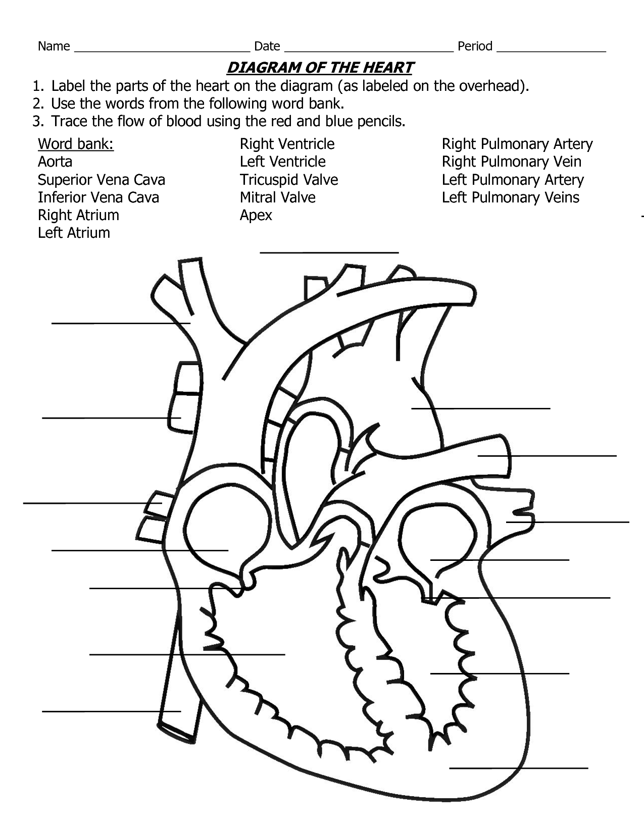 Pin By Shannon Gibson On Science Diagrams Heart Diagram Human Heart 