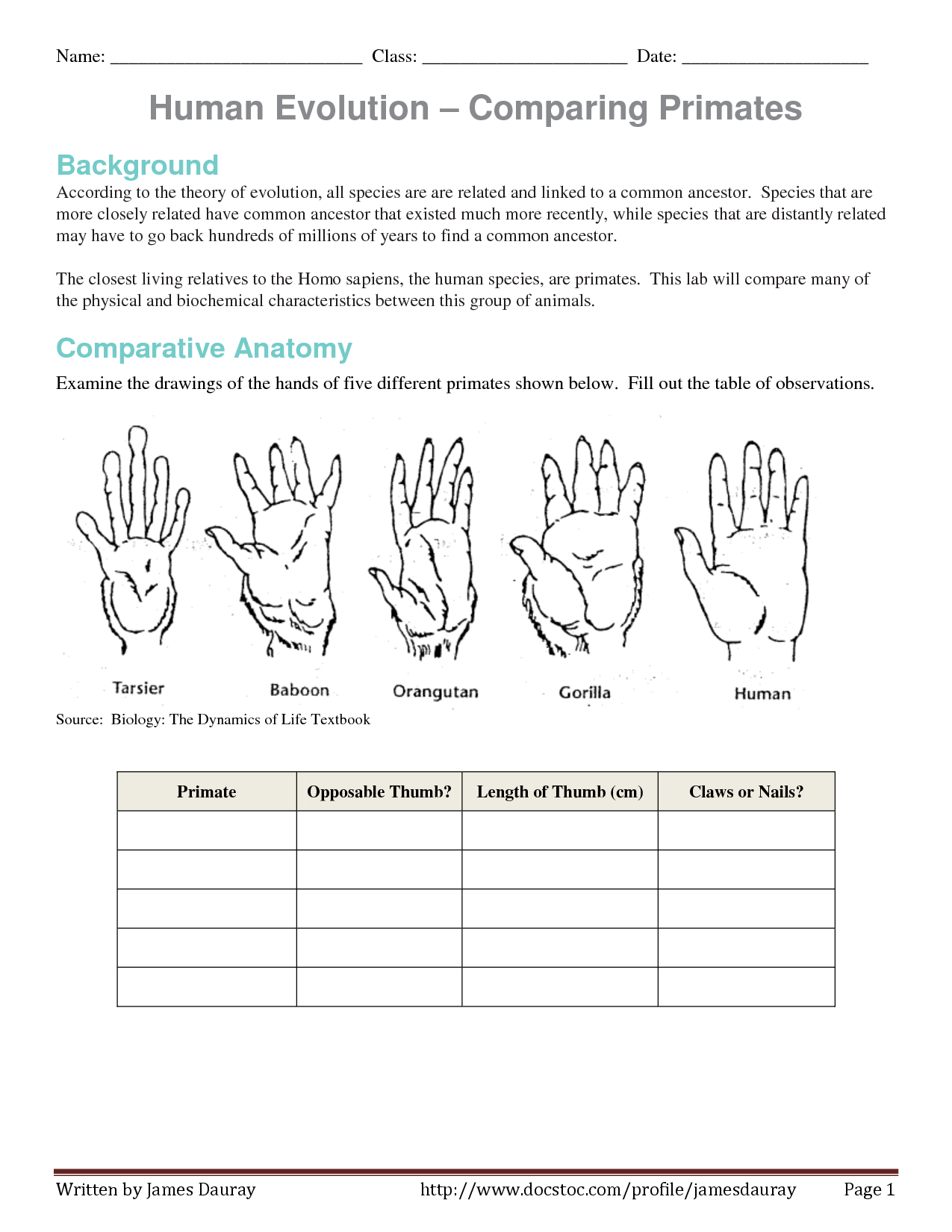 Comparing Anatomy And Embryology Worksheet Answers Anatomy Worksheets