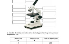 Pin On Anatomy Physiology