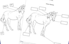 Pin On Autism Interactive Teaching Ideas