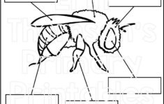 Pin On Elementary Science