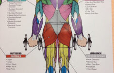 Pin On FOOD Competition Fit