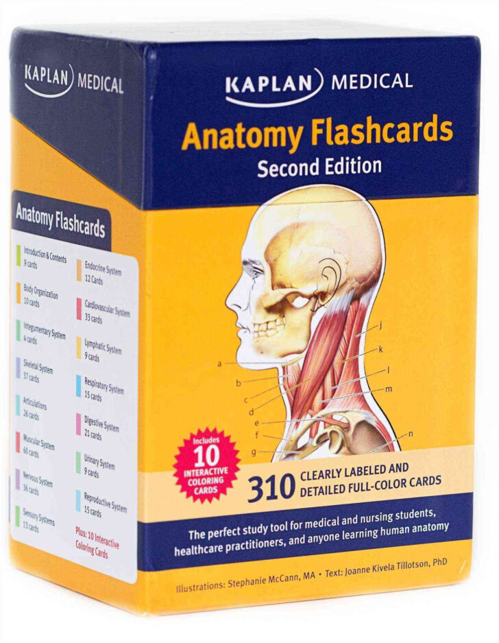 Human Anatomy And Physiology Flashcards Printable