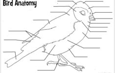 Pin On Homeschool Curriculum Options