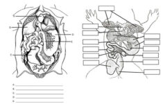 Pin On Homeschool Resources