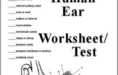 Pin On How Do We Hear