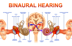 Pin On Lend Me Thine Ear