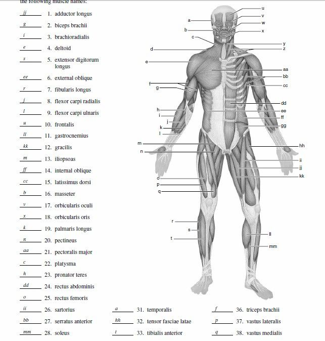 Pin On SCHOOL STUDY