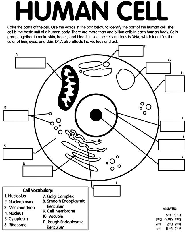 Pin On Science