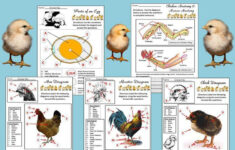 Pin On Science On TPT