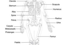 Pin On Science Resources For Homeschoolers