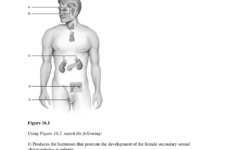 Pin On TEAS FINAL EXAM